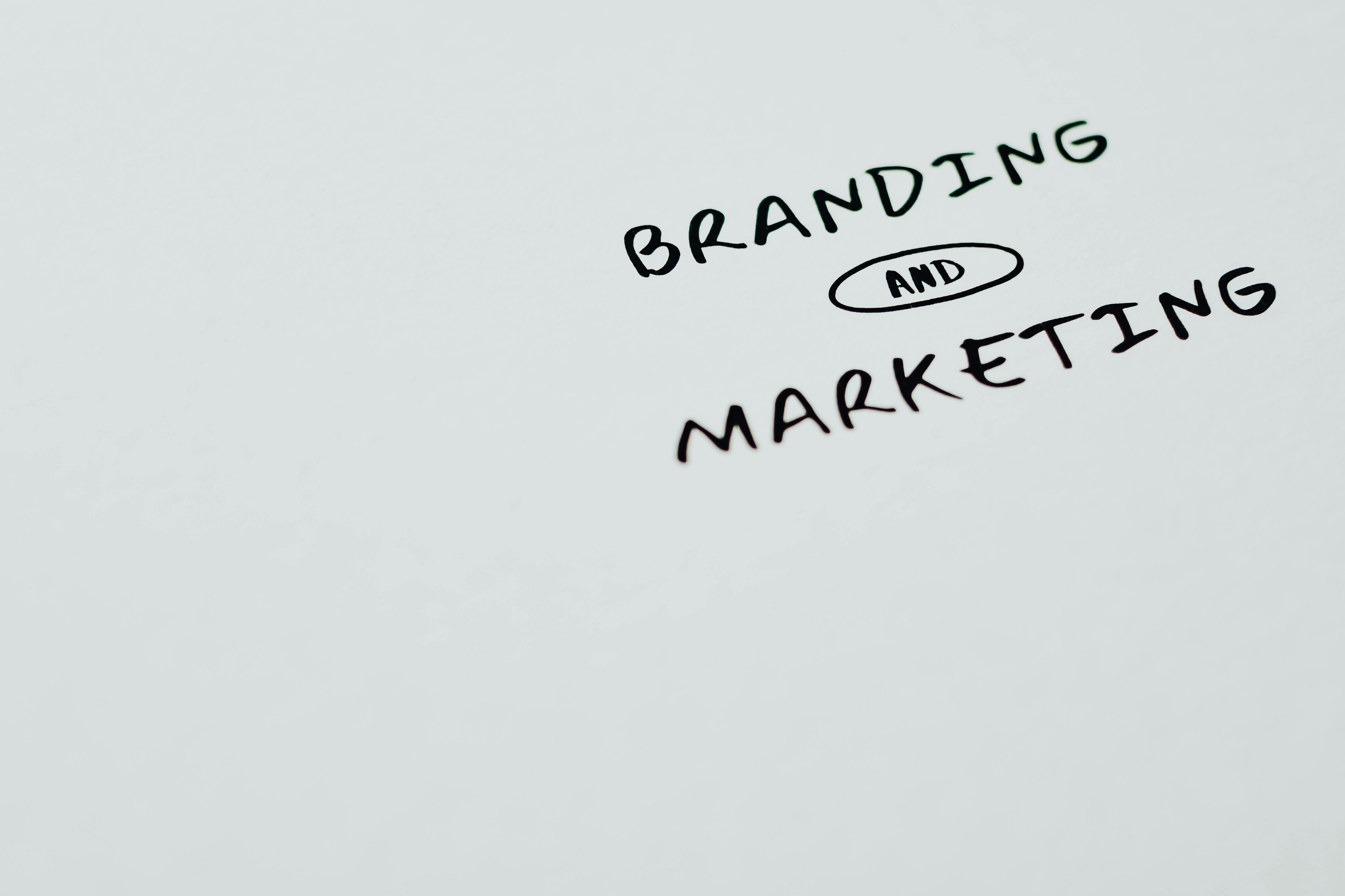 Creative team collaboration